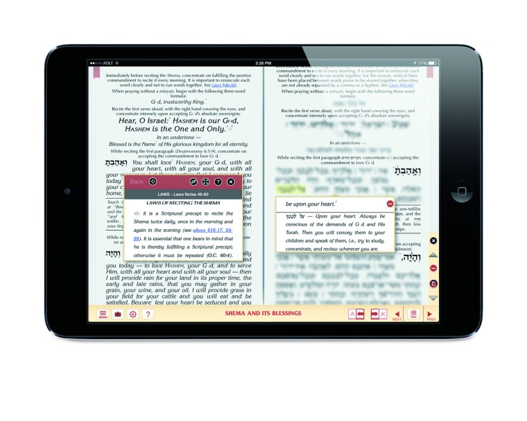 iPad_mini_Horizontal_siddur